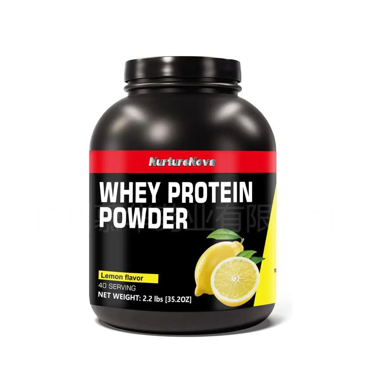 Whey Protein Powder Multiple Flavors 40 Servings
