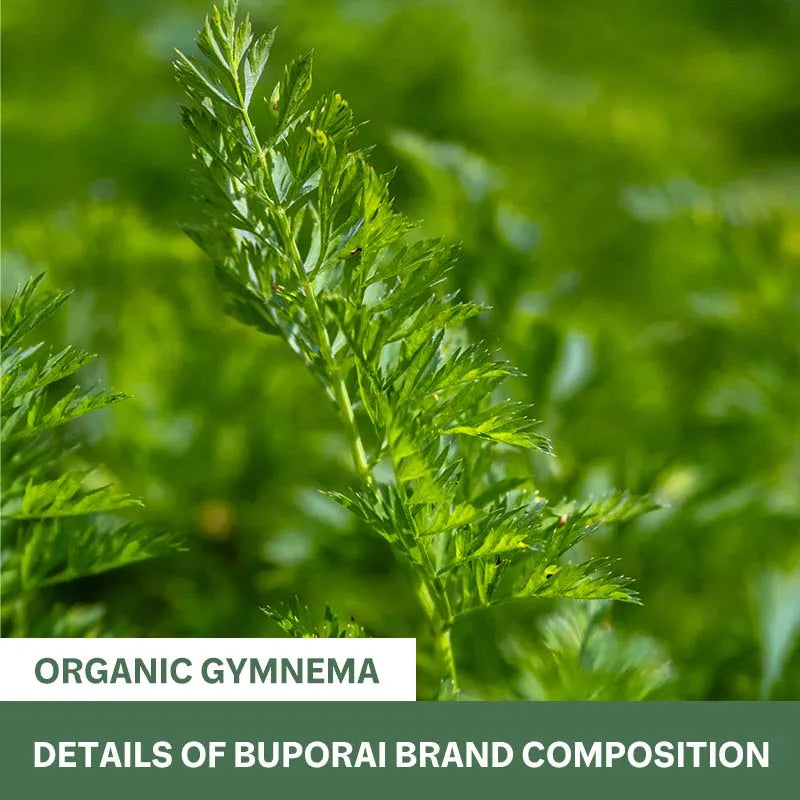 Organic Gymnema Non GMO Supplement For Digestive Wellness