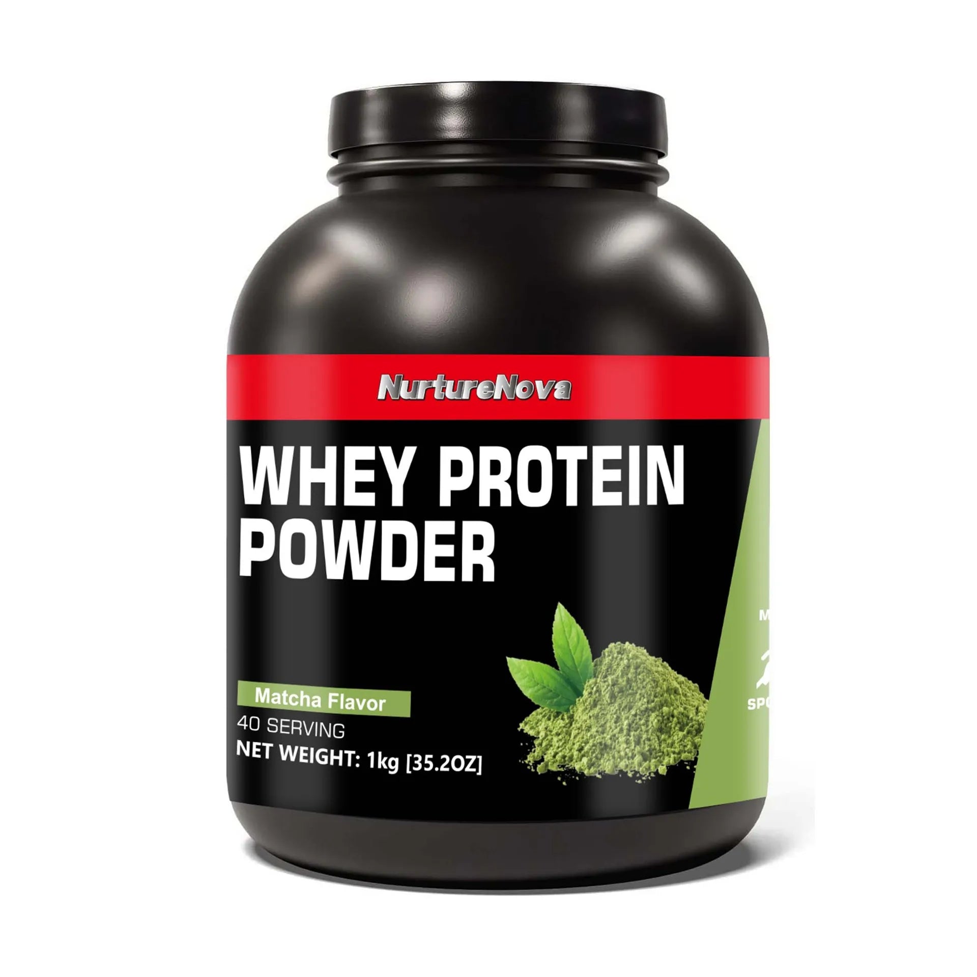 Whey Protein Powder Multiple Flavors 40 Servings