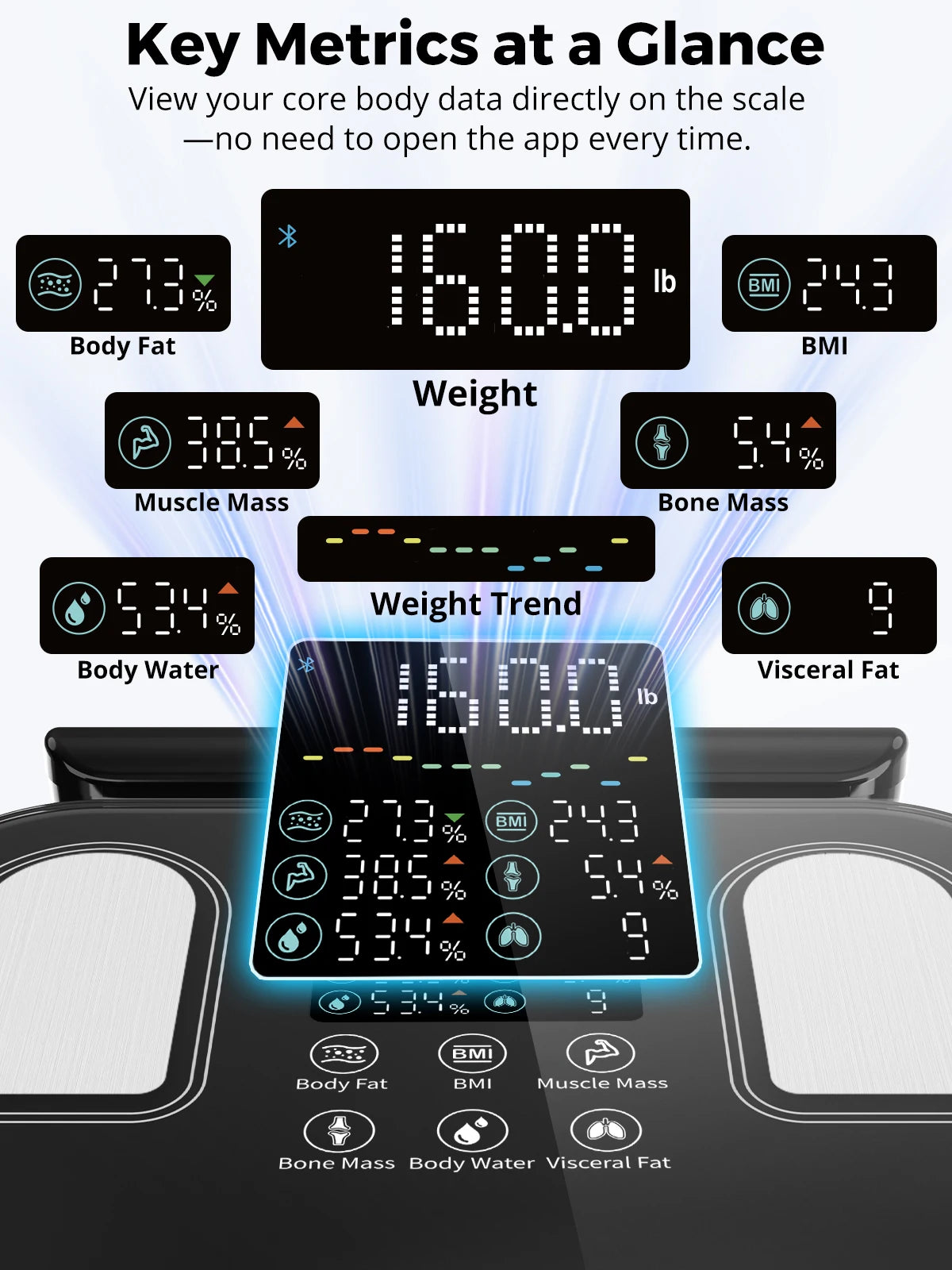 Electrode Smart Body Fat Scale